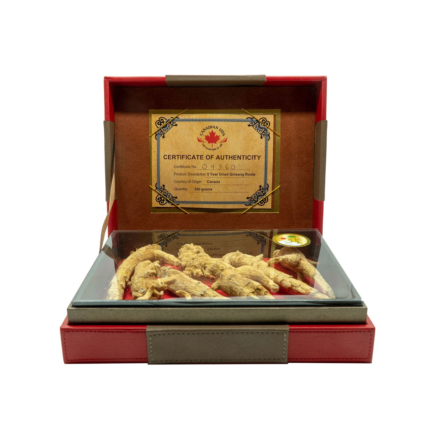 Việtvita