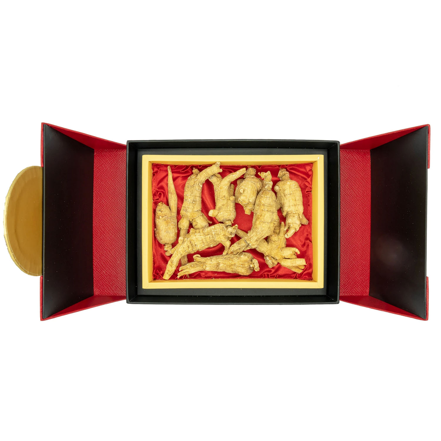 Việtvita